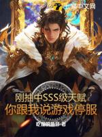 刚抽中SSS级天赋,你跟我说游戏停服