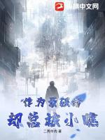 作为最强者却总被小瞧