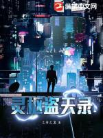 灵枢盗天录