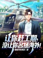 让你赶工期,没让你名扬海外!