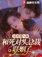 分开第八年，和死对头总裁联姻了