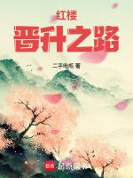 红楼晋升之路