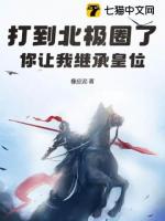 打到北极圈了,你让我继承皇位?