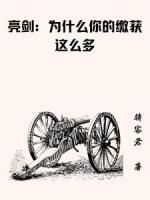 亮剑:为什么你的缴获这么多
