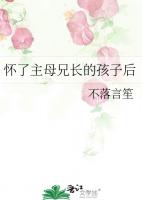 怀了主母兄长的孩子后