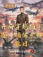 开局穿越杨宇霆,辅佐少帅抗日