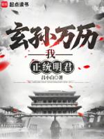 玄孙万历，我，正统明君