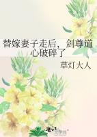 替嫁妻子走后,剑尊道心破碎了
